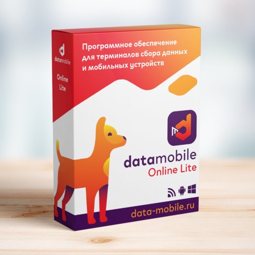ПО DataMobile, версия Online Lite в Томске